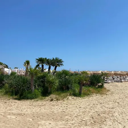 Horizon 38 'б' * سفيتي فلاس