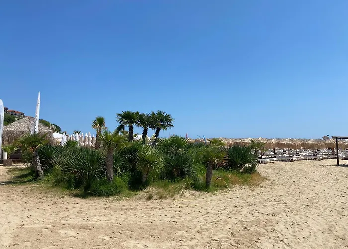 Horizon 38 'б' * Święty Włas